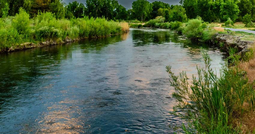 DIA MUNDIAL DO MEIO AMBIENTE
